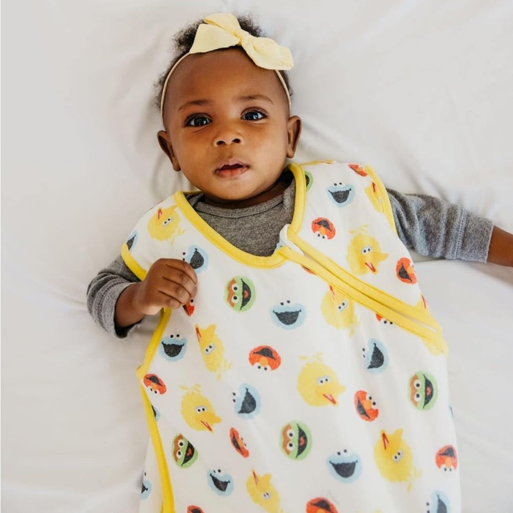 Copper Pearl Sesame Street Cloud Sleep bag 12-18M - Picture 4 of 4